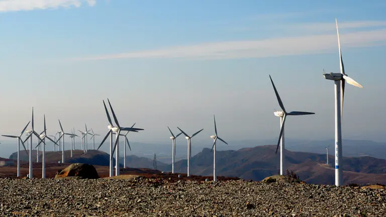 Imagen de un parque e&oacute;lico con decenas de molinos de viento. ARCHIVO
