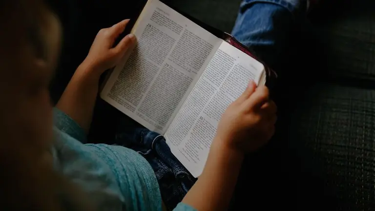 Una ni&ntilde;a leyendo un libro. ARCHIVO