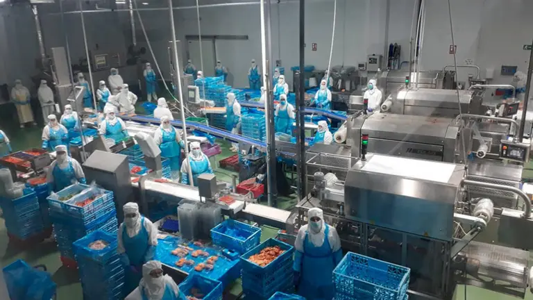 Una de las plantas de la empresa UVESA.