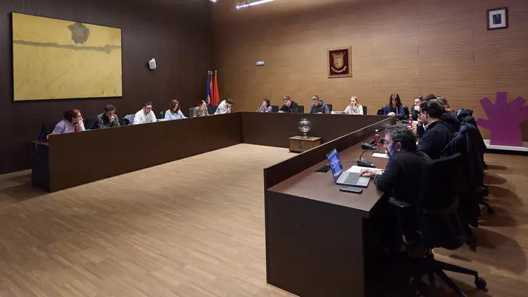 Pleno del Ayuntamiento de Berriozar.