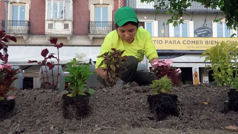 Pamplona comienza a recuperar sus zonas verdes tras los Sanfermines con labores de césped y floración. CEDIDA