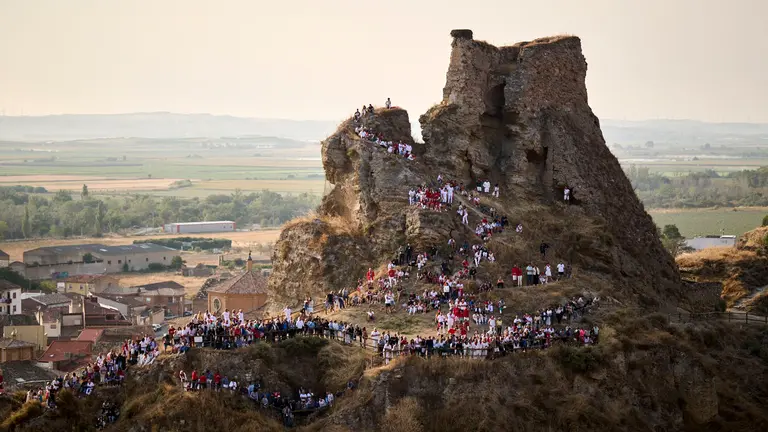 Octavo y &uacute;ltimo encierro del Pil&oacute;n en las fiestas de Falces de 2025 con vacas de la ganader&iacute;a de Teodoro Vergara de Falces. PABLO LASAOSA