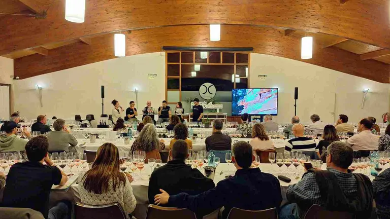 Momento de la cata de vino de San Martín de Unx en el Hotel don Carlos de Huarte. CEDIDA
