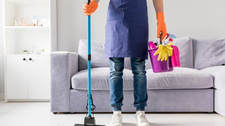 Domestina se consolida como la
plataforma l&iacute;der en servicios de limpieza
del hogar. CEDIDA