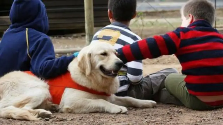 Unos ni&ntilde;os interactuando con un perro de terapia. AYUNTAMIENTO DE TUDELA
