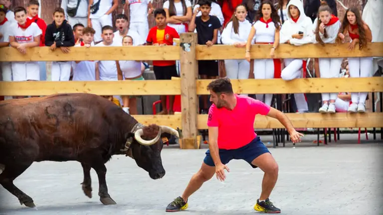 Suelta de vacas en las fiestas patronales de Aoiz. Foto Ayuntamiento de Aoiz.