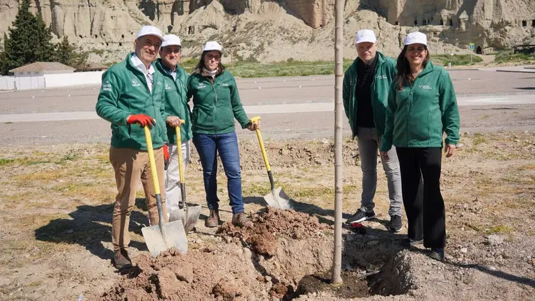 Imagen de la restauraci&oacute;n forestal en Arguedas. CEDIDA
