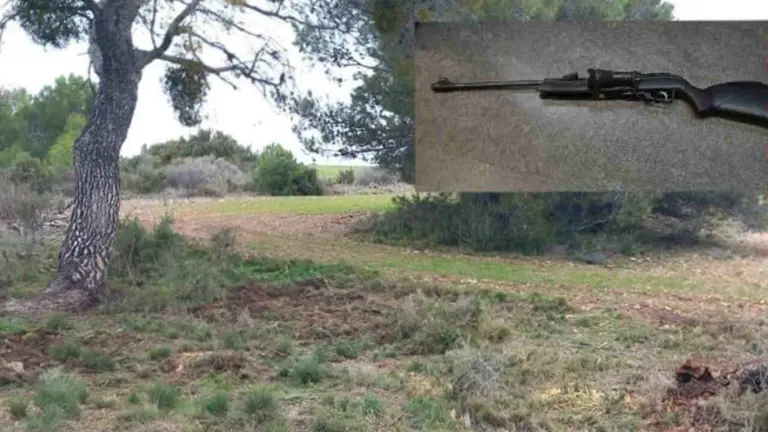 Detalle del cebadero y de la carabina de ambas actuaciones. POLIC&Iacute;A FORAL