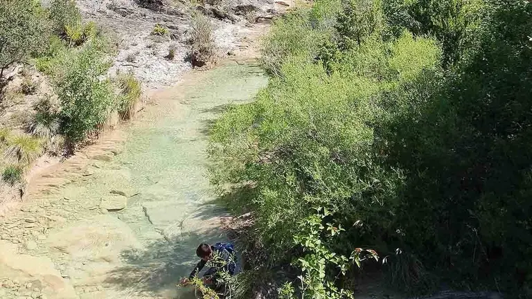 Seis excursiones y charlas gratis para descubrir la naturaleza de Navarra esta primavera.