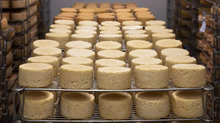 Imagen de archivo de una queser&iacute;a. PIXABAI