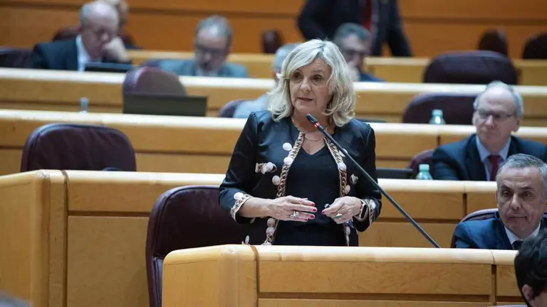 Mar&iacute;a Caballero en su intervenci&oacute;n en el Senado.