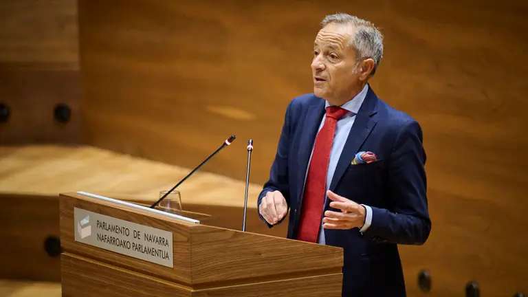 Juan Luis S&aacute;nchez de Muni&aacute;in, de UPN, durante el Pleno del Parlamento de Navarra. PABLO LASAOSA