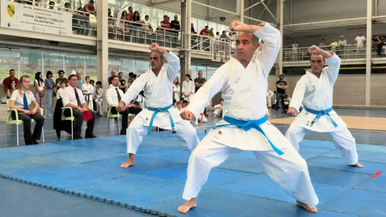 Campeonato de k&aacute;rate celebrado en la Sociedad Deportiva Echavacoiz. CEDIDA