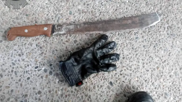 Un joven de 20 a&ntilde;os, detenido en Tudela tras una pelea: llevaba un machete al ser cacheado.