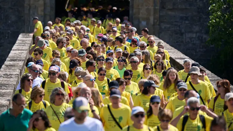 XII Marcha Contra el C&aacute;ncer en Pamplona. PABLO LASAOSA