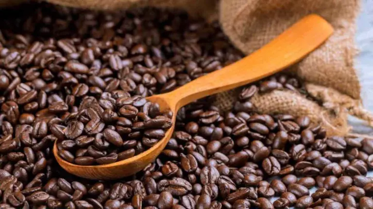 Granos de caf&eacute; reci&eacute;n tostados.