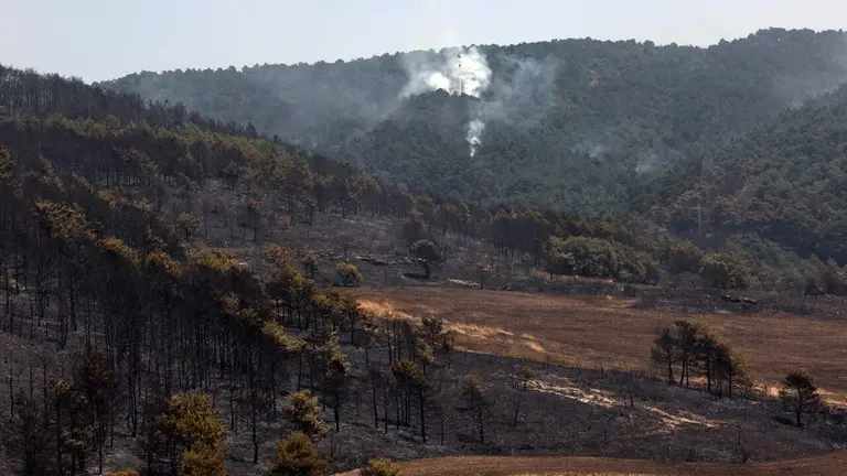 Imagen del incendio de Ezcabarte. EFE