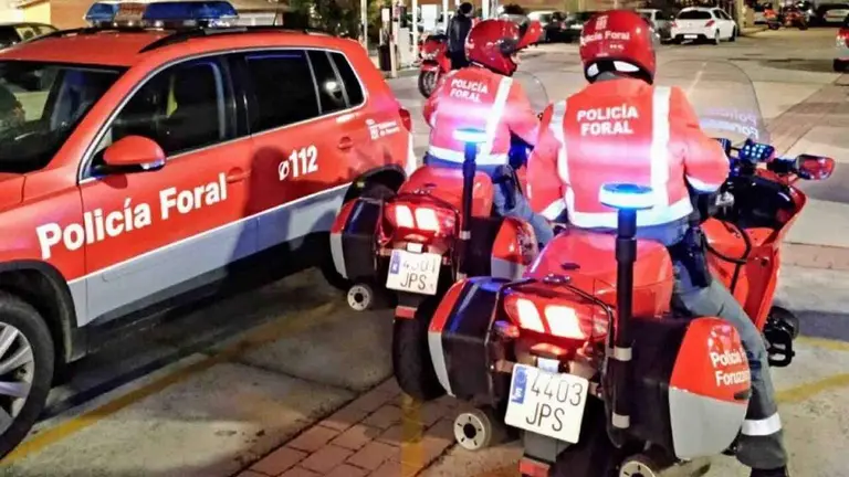 Agentes de la Polic&iacute;a Foral durante una intervenci&oacute;n.
