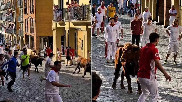 El novillo rezagado durante el encierro de las fiestas de Estella.