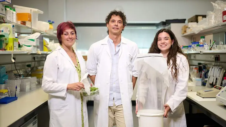 De izq. a dcha.: Rosa Murillo P&eacute;rez, I&ntilde;igo Ruiz de Escudero Fuentemilla y Gemma C&aacute;rcamo Ochoa, en uno de los laboratorios del Instituto IMAB, con hojas de boj y un contenedor de cr&iacute;a de insectos utilizado en los estudios sobre la polilla del boj. UNIVERSIDAD P&Uacute;BLICA DE NAVARRA