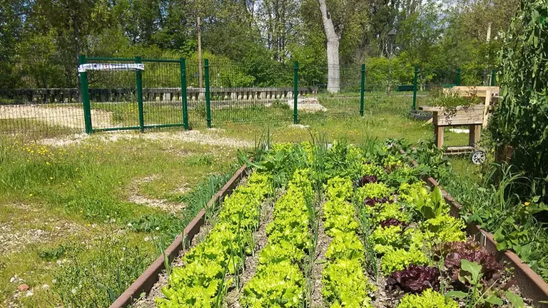 Imagen de un huerto urbano en Aranzadi. AYUNTAMIENTO DE PAMPLONA