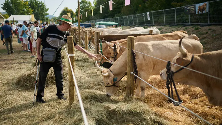 Feria ganadera &lsquo;Autentika&rsquo; en el Parque de la Runa de Pamplona. PABLO LASAOSA