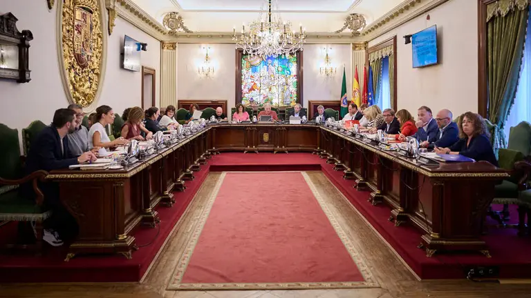 Pleno del Ayuntamiento de Pamplona. PABLO LASAOSA