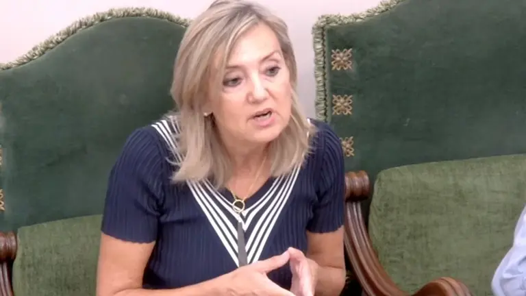 Cristina Ibarrola, en una intervenci&oacute;n en el Ayuntamiento de Pamplona.