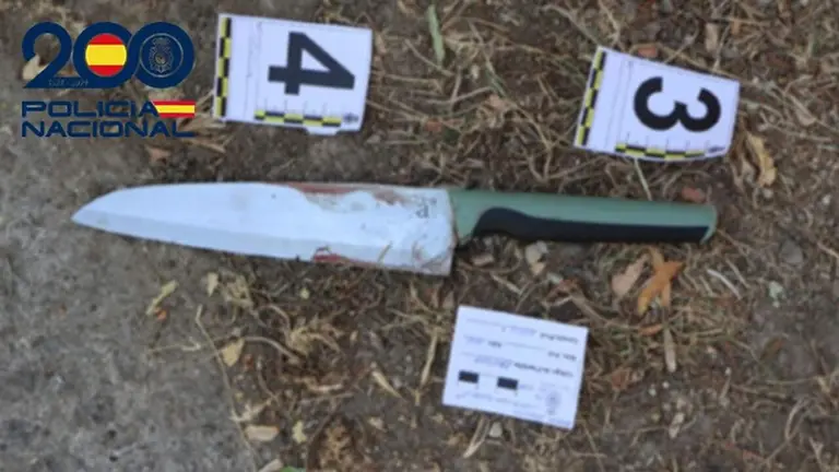 Imagen del arma utilizada por el agresor en Pamplona. POLIC&Iacute;A NACIONAL