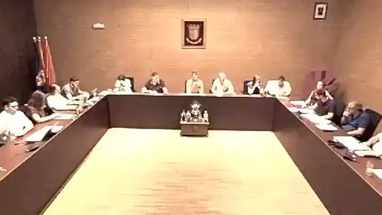 Captura del pleno del Ayuntamiento de Berriozar