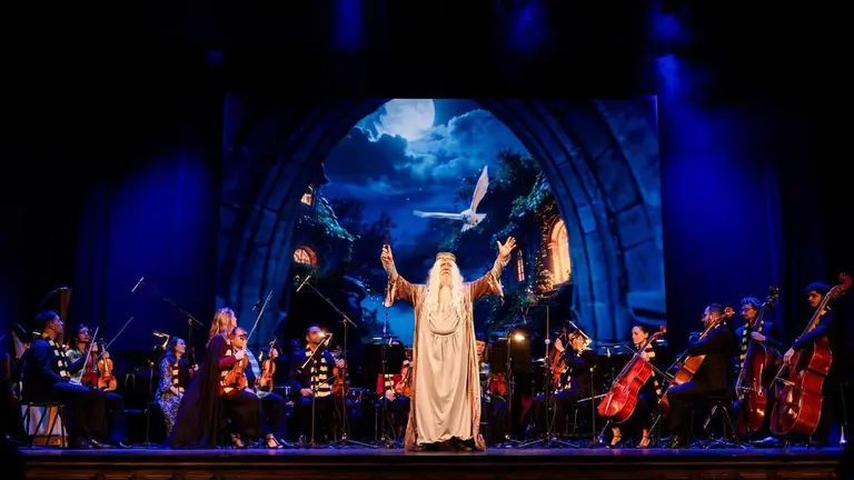 Imagen de archivo de uno de los conciertos de Harry Potter. EUROPA PRESS