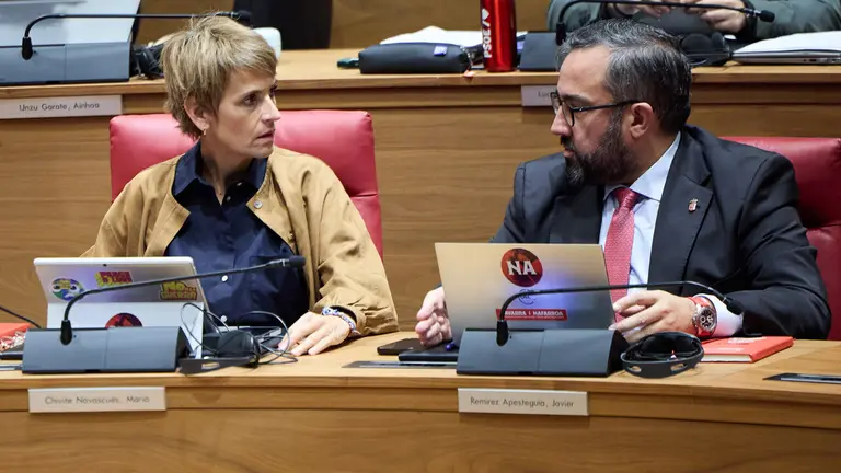 Pleno del Parlamento de Navarra. NAVARRA.COM