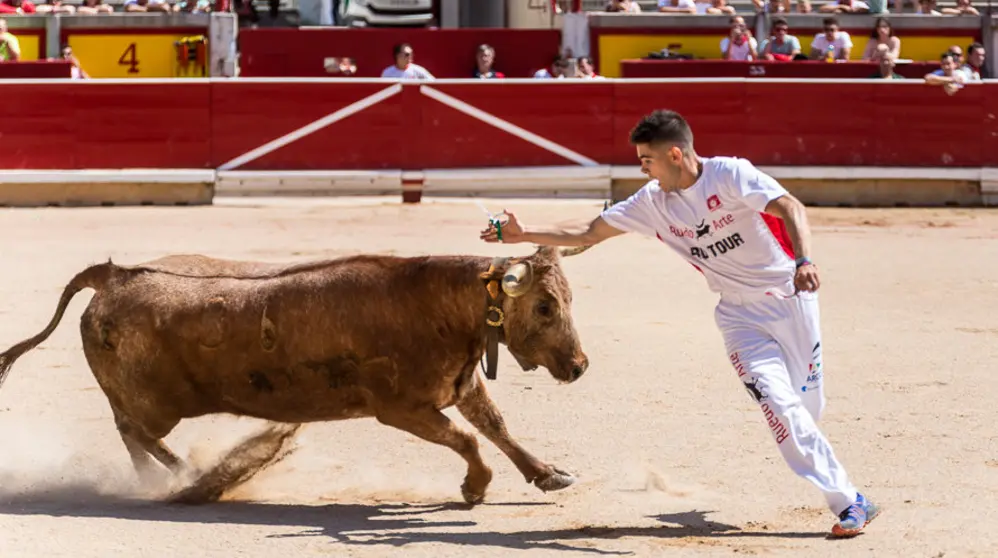 Concurso de Anillas en la plaza de toros de Pamplona (11). IÑIGO ALZUGARAY