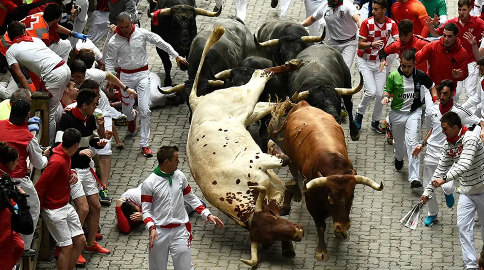 Último encierro de las fiestas de San Fermín protagonizado por Miura en la bajada al callejón. PABLO LASAOSA 09