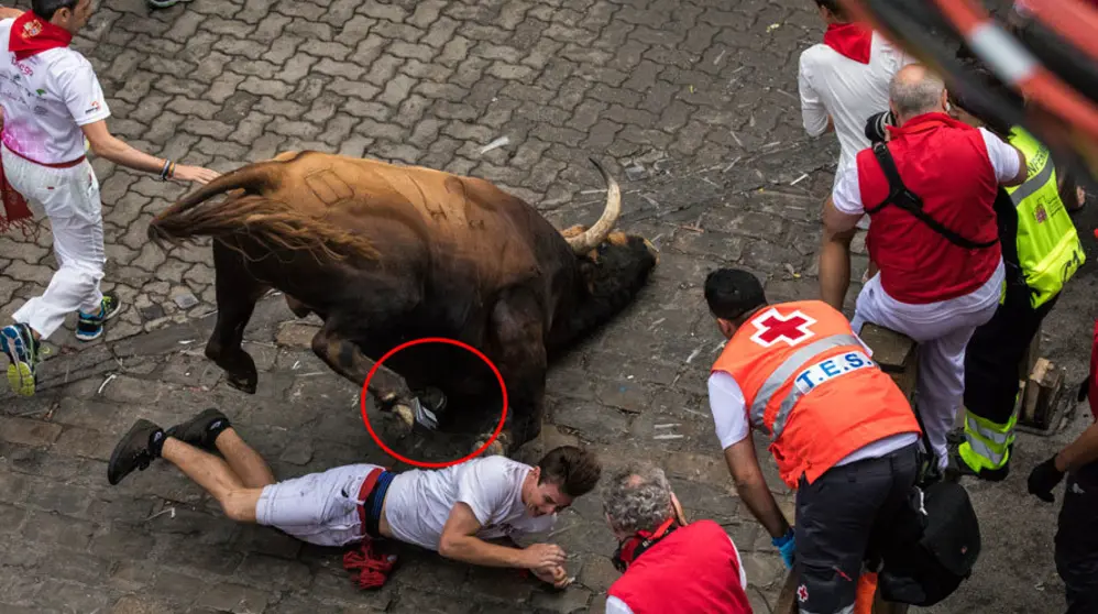 Secuencia en la que el toro 'Huracán' le roba el pasaporte a un mozo tras caerse la bajada al callejón. MAITE H. MATEO.