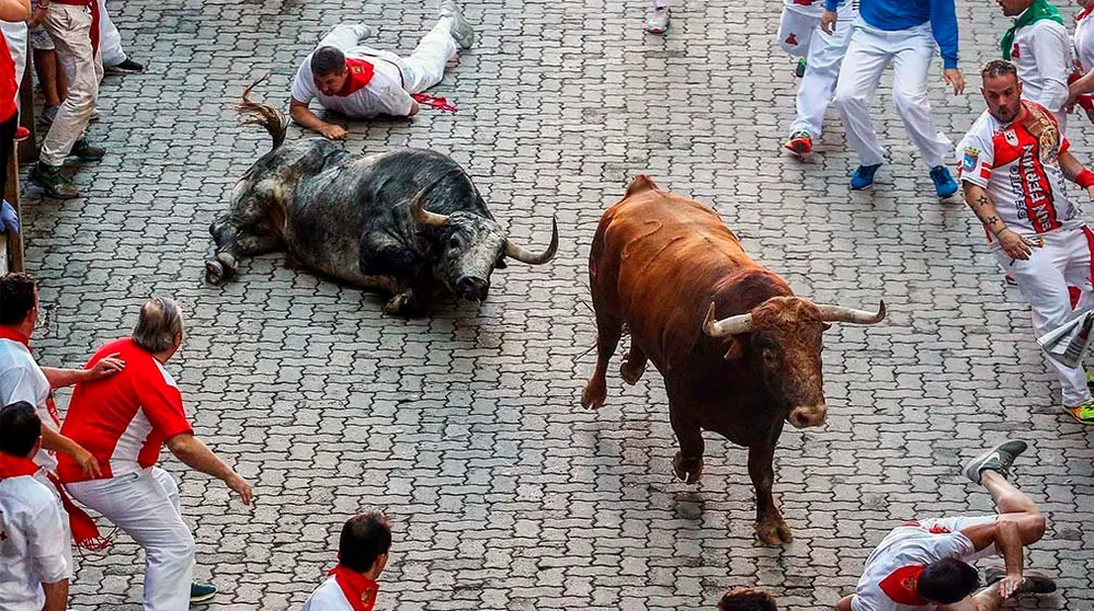 Un toro de Cebada Gago cae durante el tercer encierro de los Sanfermines 2018 EFE