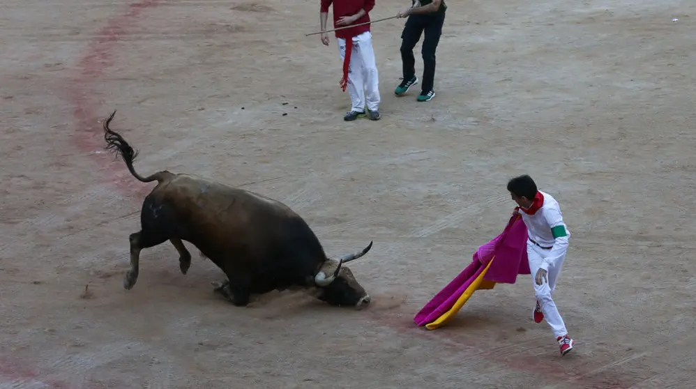 Llegada de los toros de Nuñez del Cuvillo a la plaza de toros con una de las reses rezagada ALEJANDRO VELASCO (13)