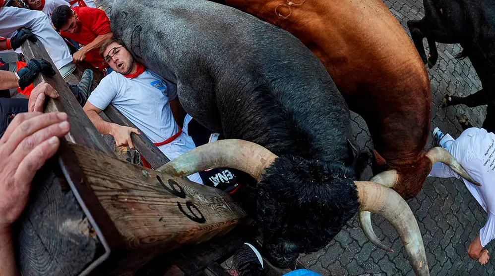 Los astados de Miura avanzan por un monton formado por varios mozos en el tramo de Telefónica EFE 5