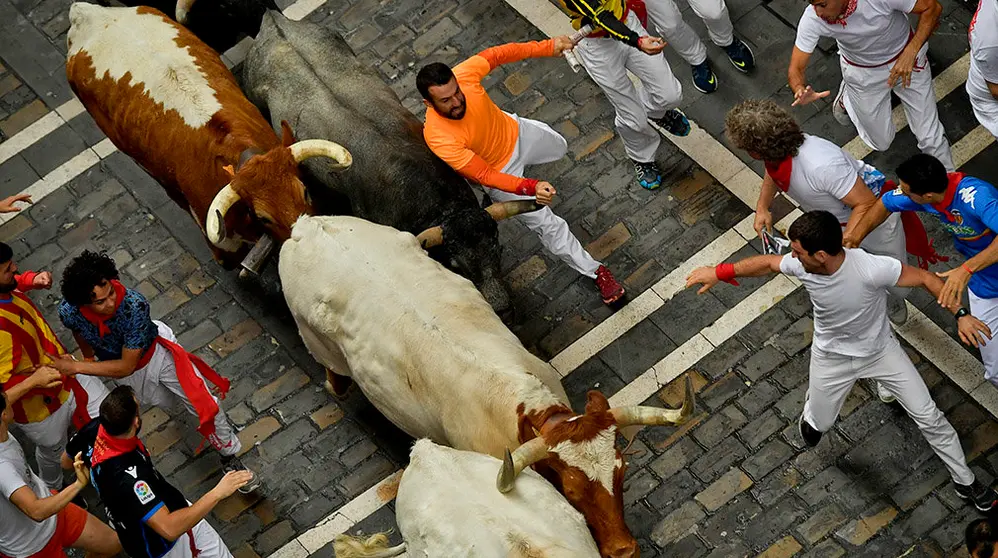Revellers sprint near bulls and steers during the running of the bulls at the San Fermin festival in Pamplona, Spain, July 9, 2019.  