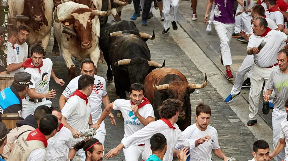 Los toros de la ganadería de La Palmosilla, de Tarifa (Cádiz), a su paso por la entrada de la plaza del ayuntamiento, durante el séptimo encierro de los Sanfermines 2019.- EFE/J.P. Urdiroz