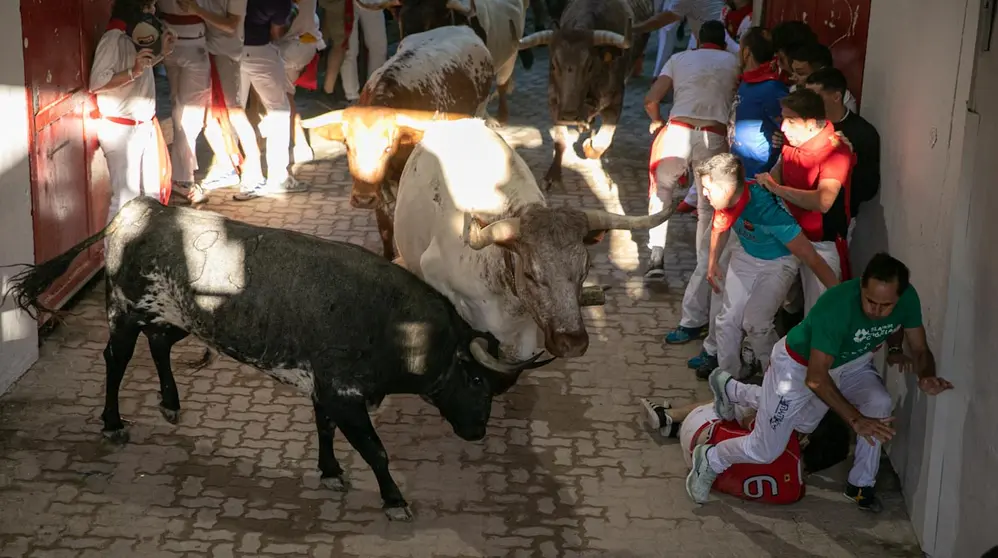 Quinto encierro de San Ferm&iacute;n con toros de Cebada Gago en el callej&oacute;n. MAITE H.MATEO-26