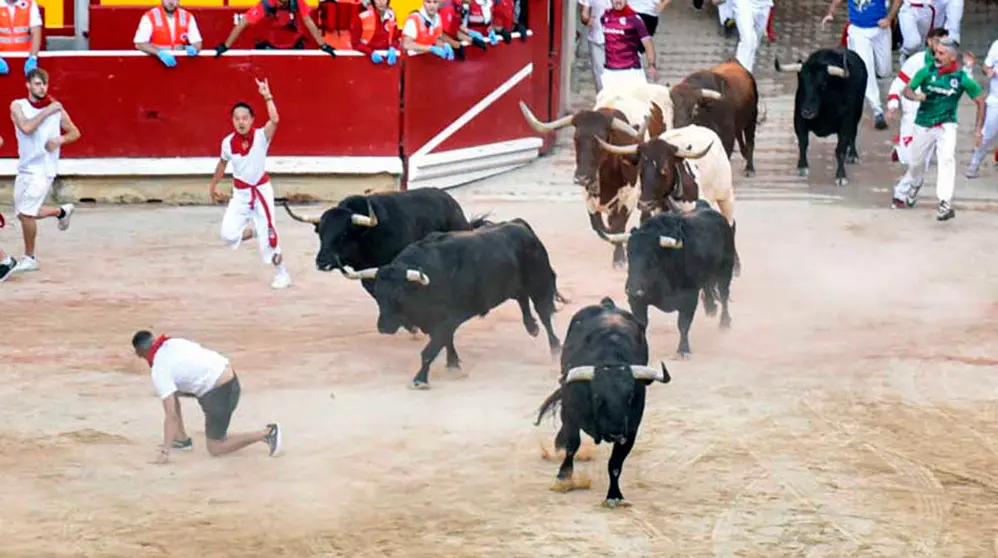 Entrada de los toros de la Ganadería Victoriano Del Río, en la Plaza de toros de Pamplona en lo que es el séptimo encierro de San Fermín 2022. IRAITZ IRIARTE.
