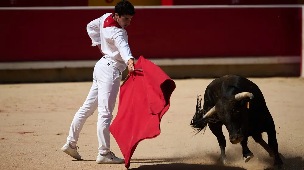 Tentadero connovillos del hierro navarro de Hermanas Azcona para los novilleros Nabil Essaouari “El Moro”, Bruno Martínez, Pablo Hernández y Aarón Navas, dirigidos por el matador de toros retirado Dávila Miura. PABLO LASAOSA
