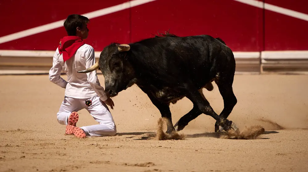 Cientos de personas acuden a la Plaza de Toros de Pamplona para disfrutar del espaectáculo "toros en familia". PABLO LASAOSA