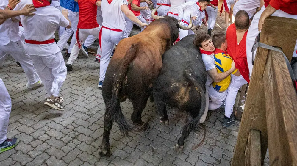Segundo encierro de San Fermín 2024 con toros de Cebada Gago en el callejón. MAITE H.MATEO-40