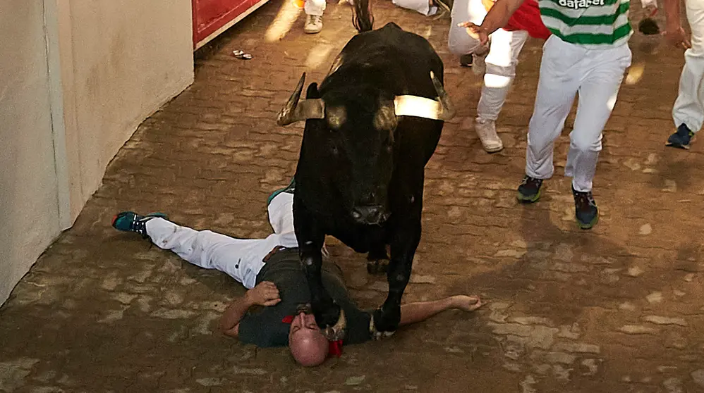 Segundo encierro de San Fermín 2024 con toros de Cebada Gago en el callejón. IRANZU LARRASOAÑA