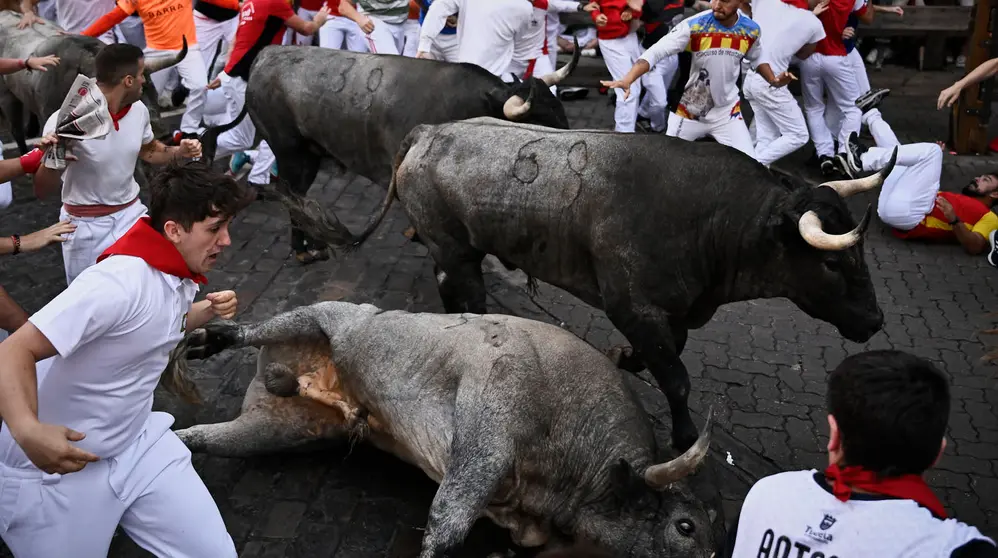 Sexto encierro de San Fermín 2025 con toros de José Escolar en la curva de Telefónica. PABLO LASAOSA