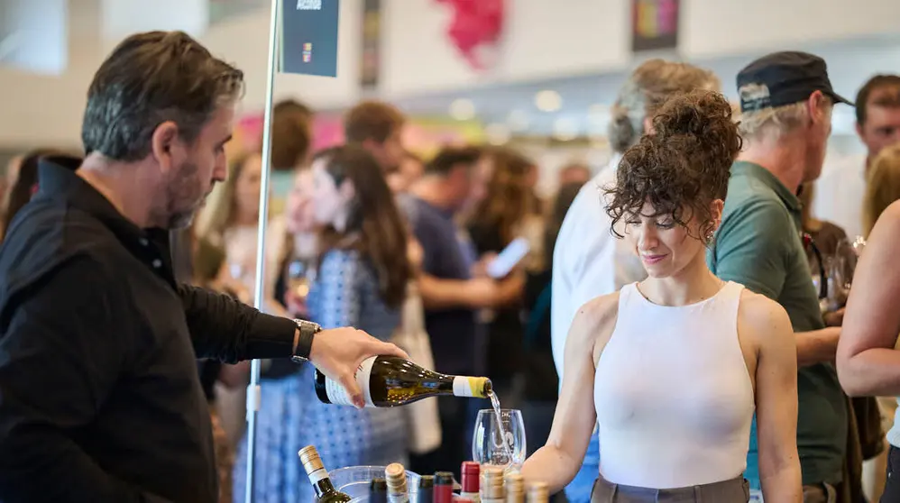 Decimotercera edici&oacute;n de Vinofest Navarra, con la presencia de 22 bodegas navarras. PABLO LASAOSA