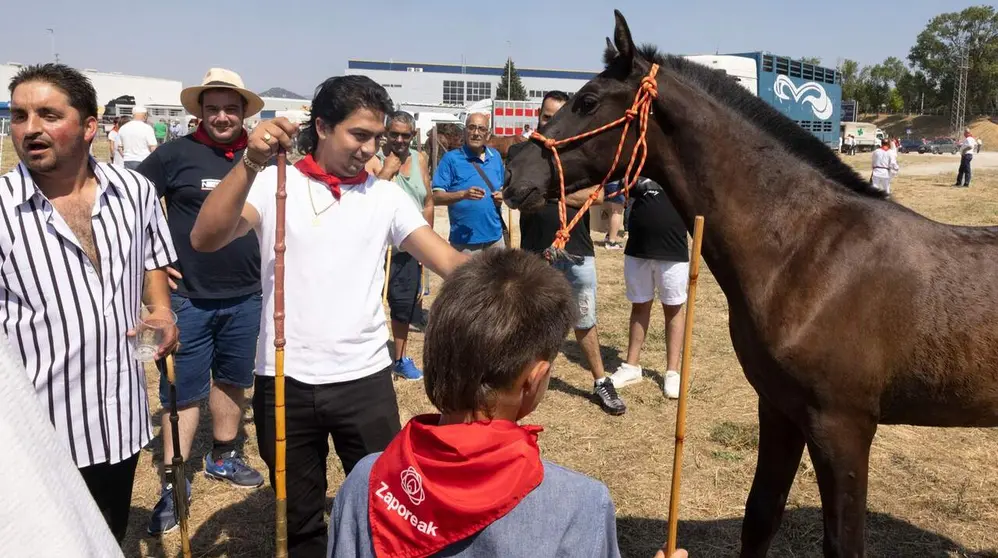 Feria del ganado equino de San Ferm&iacute;n. AYUNTAMIENTO DE PAMPLONA