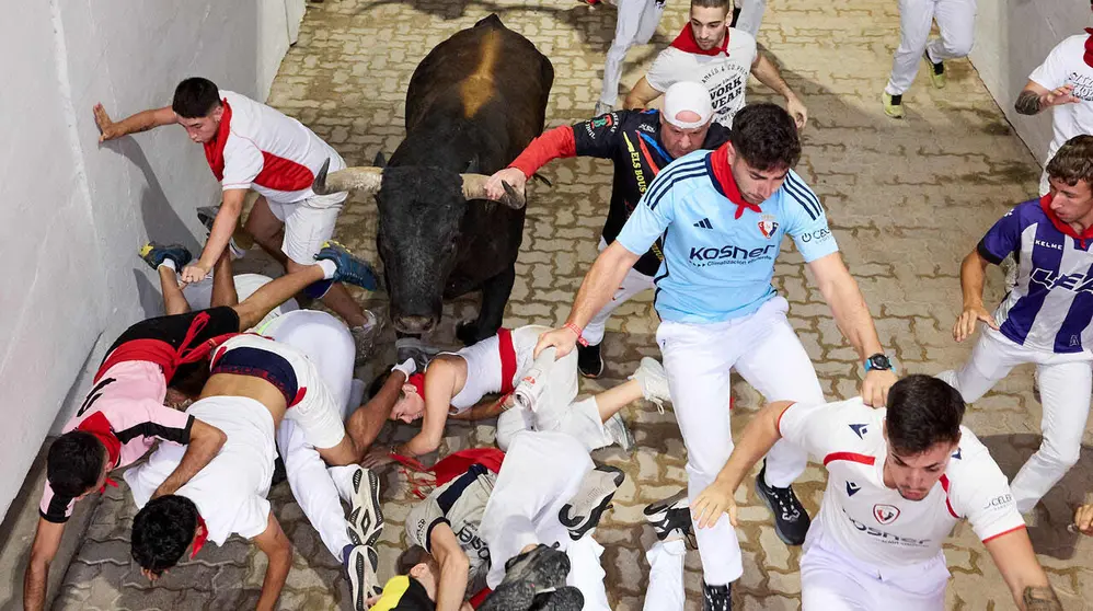 S&eacute;ptimo encierro de San Ferm&iacute;n 2026 con toros de la ganader&iacute;a de Miura en el tramo del callej&oacute;n y entrada a la plaza. I&Ntilde;IGO ALZUGARAY
